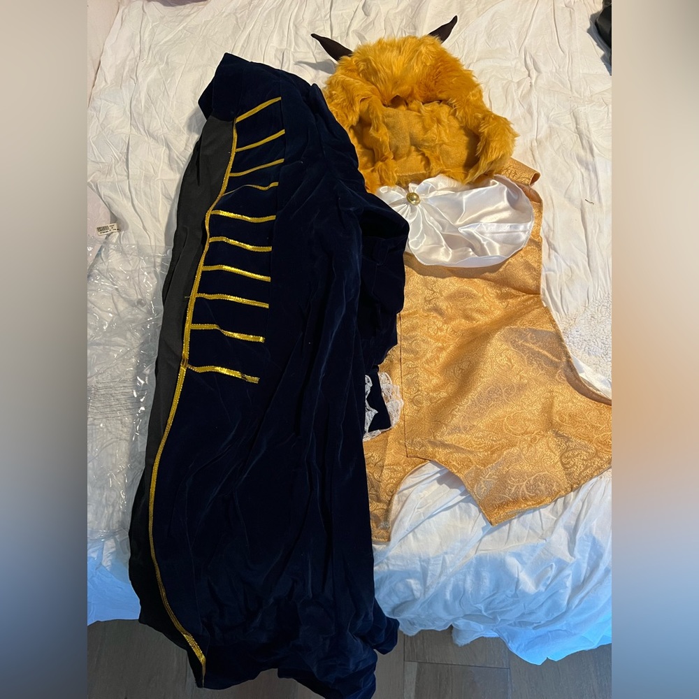 Beast Costume from Beauty and the Beast